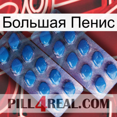 Большая Пенис viagra2